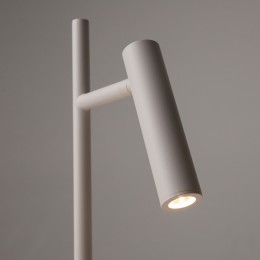 Напольный светильник (торшер) Maytoni Estudo Z010FL-L8W3K