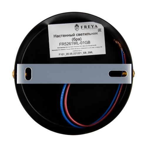 Настенный светильник (бра) Freya FR5261WL-01GB