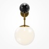 Настенный светильник (бра) Maytoni Museo MOD436WL-01BS