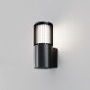 Настенный светильник (бра)  Maytoni Outdoor Alura O492WL-01GF