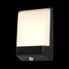 Настенный светильник (бра)  Maytoni Outdoor Row O448WL-L9GF3KSR