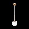 Подвесной светильник Maytoni Basic form MOD521PL-01G1