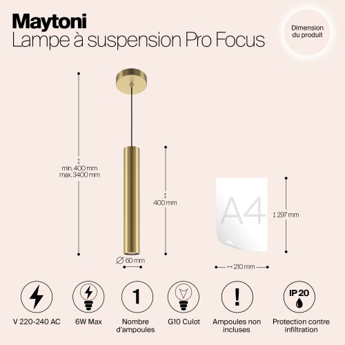 Подвесной светильник Maytoni Pro Focus MOD161PL-01G1