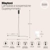 Подвесной светильник Maytoni Supersymmetry P096PL-L11BK1