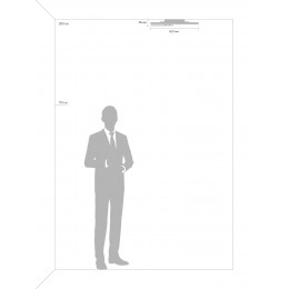 Потолочный светильник Freya FR10015CL-L94WB