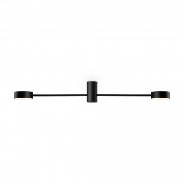 Потолочный светильник Freya FR5363CL-02B1