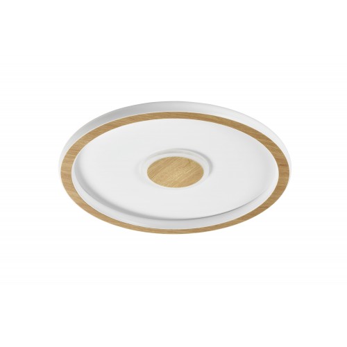 Потолочный светильник Freya FR5421CL-L80BG