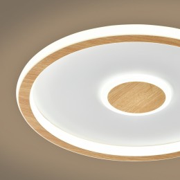 Потолочный светильник Freya FR5421CL-L80BG