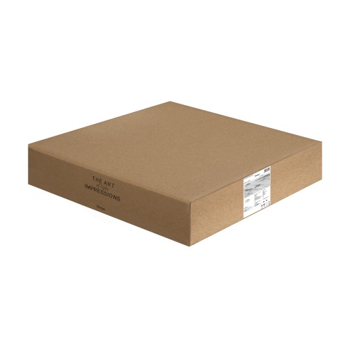 Потолочный светильник Freya FR5421CL-L80BG