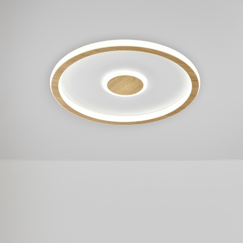 Потолочный светильник Freya FR5421CL-L80BG