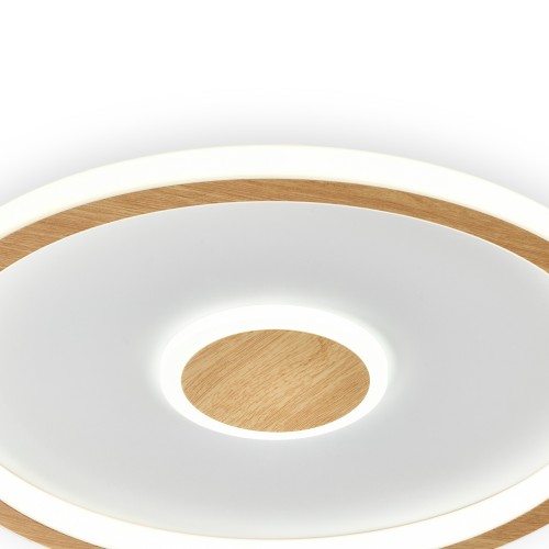 Потолочный светильник Freya FR5421CL-L80BG