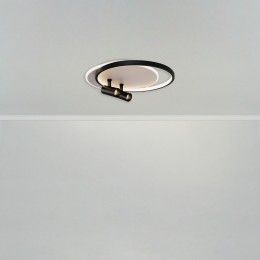 Потолочный светильник Freya FR6083CL-L106WB