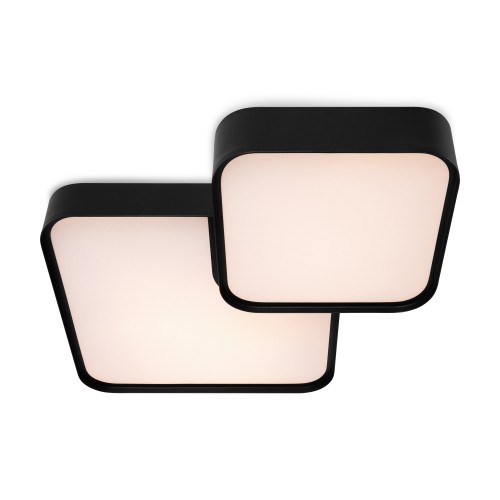 Потолочный светильник Freya FR6095CL-L84B