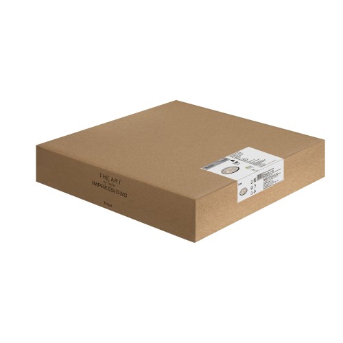 Потолочный светильник Freya FR6220CL-L110W