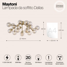 Потолочный светильник Maytoni Dallas MOD545PL-20G