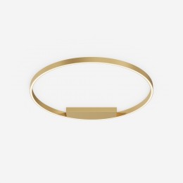 Потолочный светильник Maytoni Rim MOD058CL-L50BSK