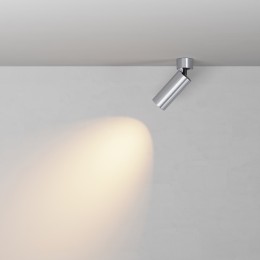 Потолочный светильник Technical C055CL-L12W2.7K-W-PT