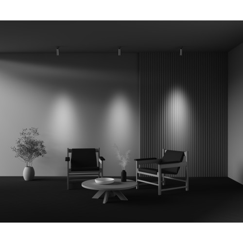 Потолочный светильник Technical C055CL-L12W2.7K-W-PT