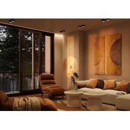 Потолочный светильник Technical C091CL-12W3K-B