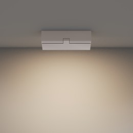 Потолочный светильник Technical C133CL-12W3K-W