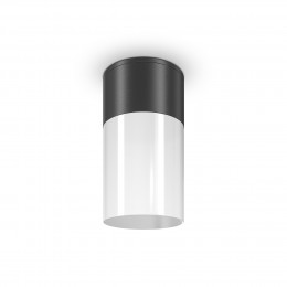 Потолочный светильник  Maytoni Outdoor Willis O418CL-01B
