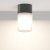 Потолочный светильник  Maytoni Outdoor Willis O418CL-01B
