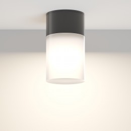 Потолочный светильник  Maytoni Outdoor Willis O418CL-01B