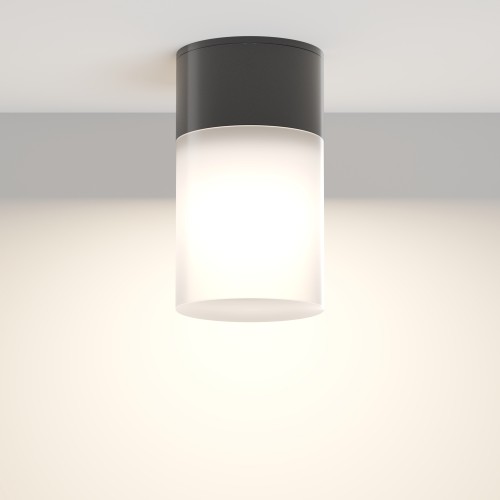 Потолочный светильник  Maytoni Outdoor Willis O418CL-01B