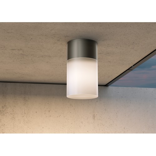 Потолочный светильник  Maytoni Outdoor Willis O418CL-01B