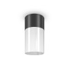 Потолочный светильник  Maytoni Outdoor Willis O418CL-01B