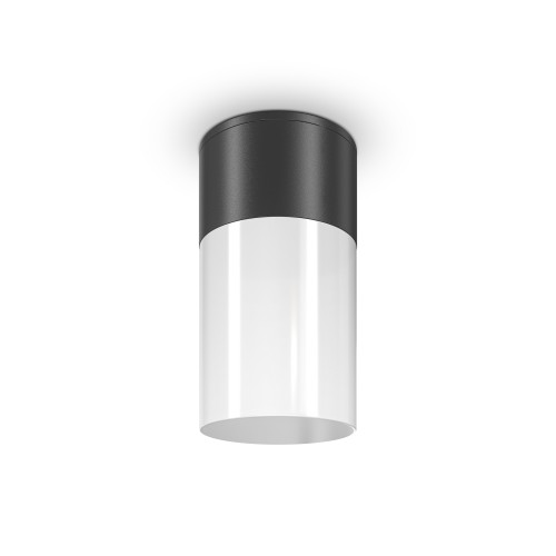 Потолочный светильник  Maytoni Outdoor Willis O418CL-01B