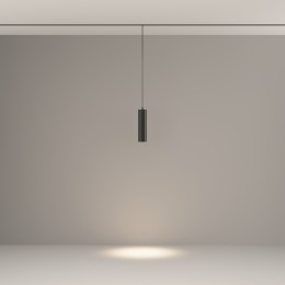 Трековый подвесной светильник Technical TR041-2-12W4K-B