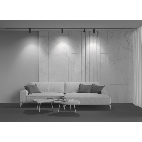 Трековый светильник Technical TR021-1-124K-Z-B