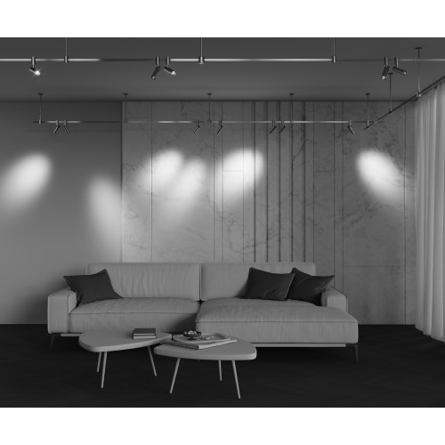 Трековый светильник Technical TR144-1-12W4K-W-PT