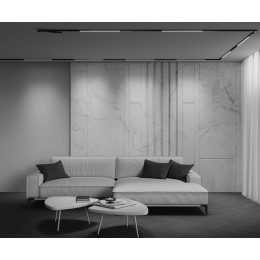 Трековый светильник Technical TR240-4-12WTW-DSZ-B