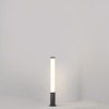 Ландшафтный светильник  Maytoni Outdoor Ster O467FL-L50B3K