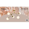 Люстра Freya FR5497PL-05G