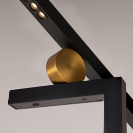 Напольный светильник (торшер) Maytoni Empathy MOD363FL-L14B3K