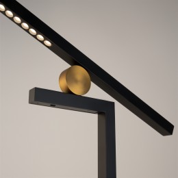 Напольный светильник (торшер) Maytoni Empathy MOD363FL-L14B3K