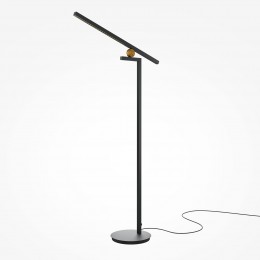 Напольный светильник (торшер) Maytoni Empathy MOD363FL-L14B3K