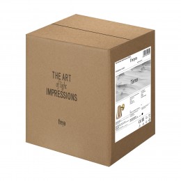 Настенный светильник (бра) Freya FR5260WL-01BS1