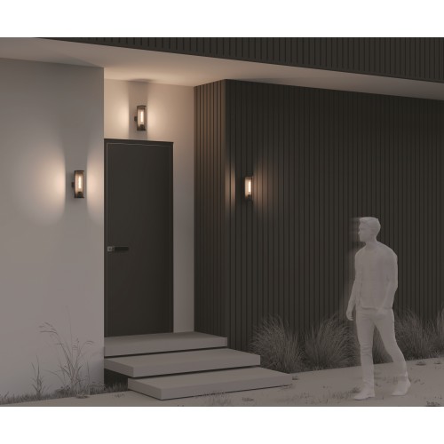 Настенный светильник (бра)  Maytoni Outdoor Conf O451WL-01GF