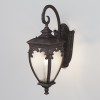 Настенный светильник (бра)  Maytoni Outdoor  Fleur O414WL-01BZ