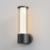 Настенный светильник (бра)  Maytoni Outdoor Lit O593WL-L8B3K