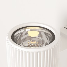 Настенный светильник (бра)  Maytoni Outdoor Rando O419WL-01W