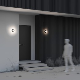 Настенный светильник (бра)  Maytoni Outdoor Wolseley Road O011WL-L6B