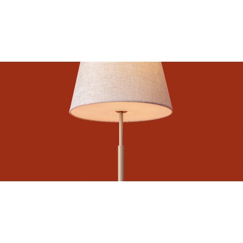 Настольный светильник Freya FR2057TL-01BG