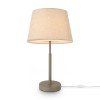 Настольный светильник Freya FR2057TL-01BG