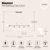 Подвесной светильник Maytoni Erich MOD221-PL-05-G