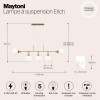 Подвесной светильник Maytoni Erich MOD221-PL-05-G